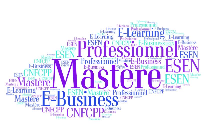 Mastère Prof. E-Business à Distance | Résultats préliminaires de la sélection