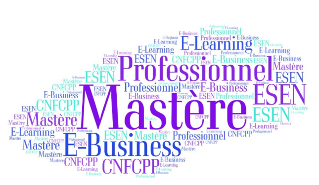 Mastère Prof. E-Business à Distance | Résultats préliminaires de la sélection